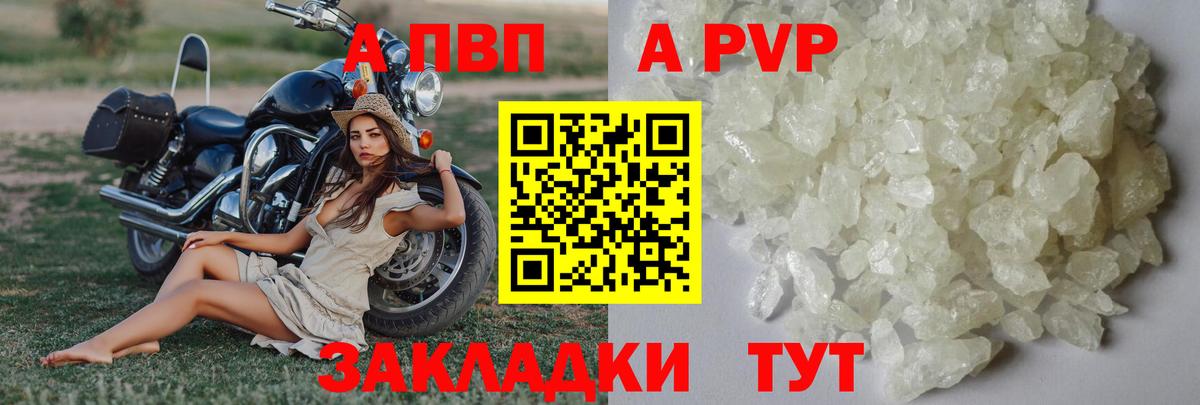 Alpha-PVP  А ПВП СК  Вход с VPN  Alpha-PVP СК КРИС  Великий Устюг 
