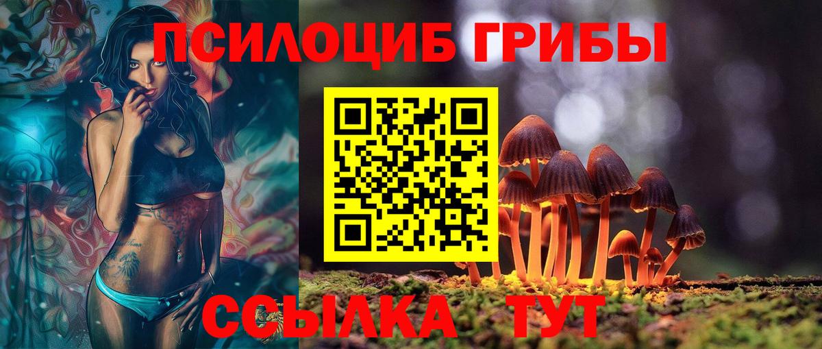 Галлюциногенные грибы MAGIC MUSHROOMS Великий Устюг